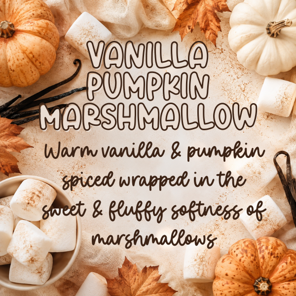 Vanilla Pumpkin Marshmallow Inspired Scented Aroma Beads