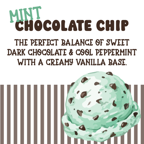 Mint Chocolate Chip Inspired Scented Aroma Beads