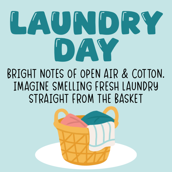 Laundry Day Inspired Scented Aroma Beads