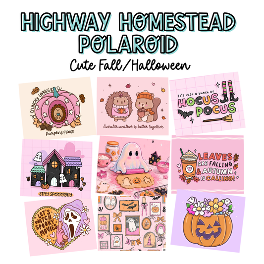 Highway homestead Polaroid