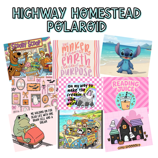 Highway homestead Polaroid