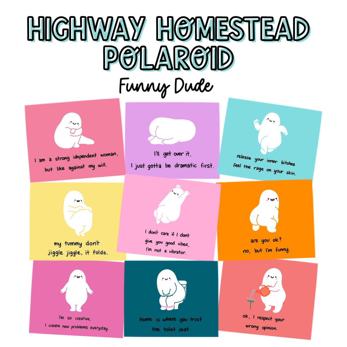 Highway homestead Polaroid