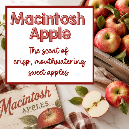 Macintosh Apple Inspired Scented Aroma Beads